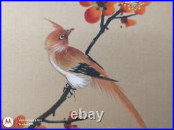 Vintage Original Japanese Silk Watercolor Long Tail Red Bird in Orange Blossoms